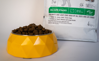 Do you need to change your dogs food?