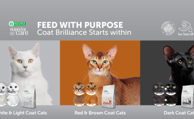 Supreme Feline Cuisine: Tailored Nutrition for Cats