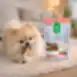 Snack para perros oreja de conejo con relleno de salmón para perros adultos de todas las razas