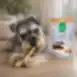 Snack para perros oreja de conejo con relleno de pato para perros adultos de todas las razas