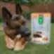 Snack para perros oreja de conejo con relleno de pato para perros adultos de todas las razas