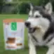 Snack para perros oreja de conejo con relleno de carne de cordero para perros adultos de todas las razas