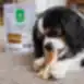 Snack para perros oreja de conejo con relleno de carne de conejo para perros adultos de todas las razas