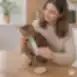 Alimento húmedo complementario para gatos con pollo